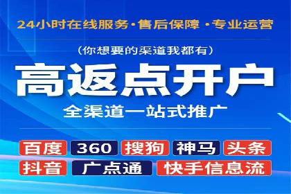 电商平台信息流广告的投放策略与效果评估案例